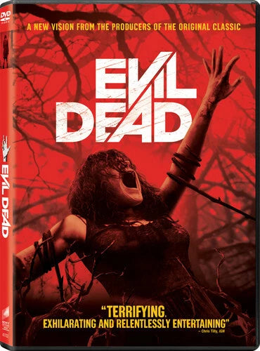Evil Dead DVD 2013 Remake