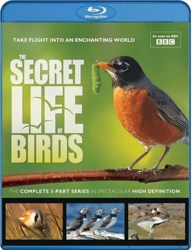 Secret Life of Birds - Blu-ray