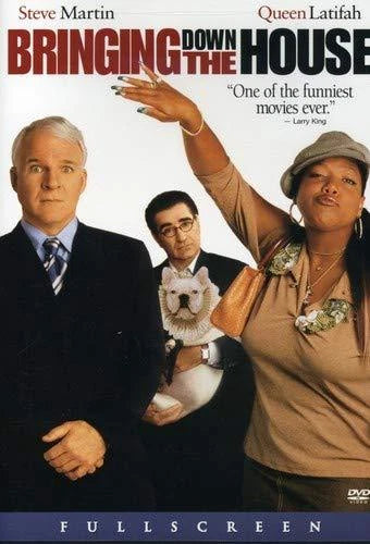 Bringing Down the House (DVD, 2003)