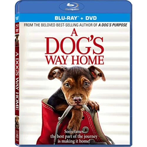 A Dog's Way Home (Blu-ray+DVD, 2019)